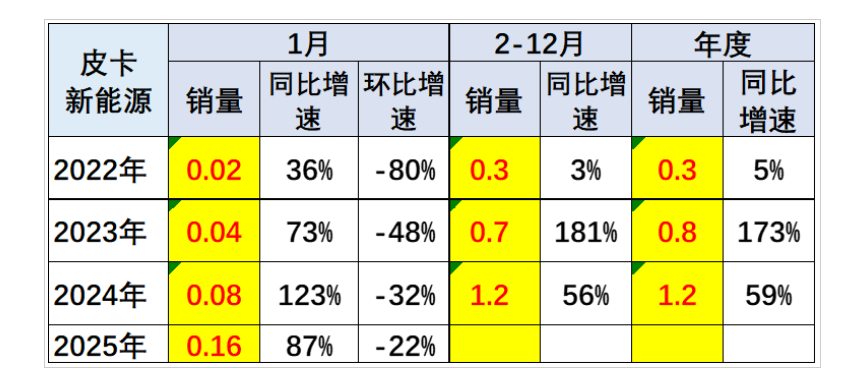 2025年1月皮卡市場數據分析 銷量排行榜